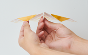Papillon Origami Airplanes - Daily Choice