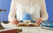 Posture Pal - Marine - Sweet Choice