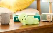SMISKI Touch Light Vol. 2 - Travel Pick
