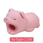 CABLE BITE for Type-C USB - Travel Pick