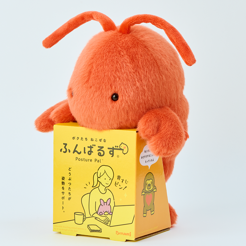 Posture Pal - Marine - Daily Choice