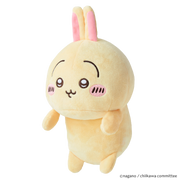 Posture Pal - CHiiKAWA - Lucky Pick