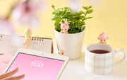 HIPPERS Cherry Blossom Series - Mini Choice