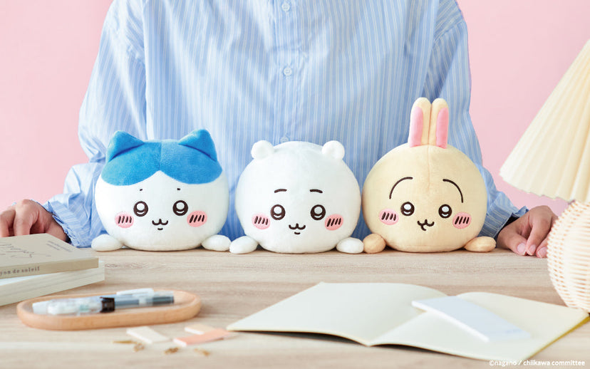 Posture Pal - CHiiKAWA - Shelf Ready
