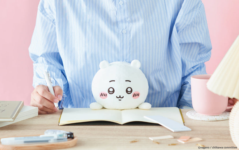 Posture Pal - CHiiKAWA - Shelf Ready