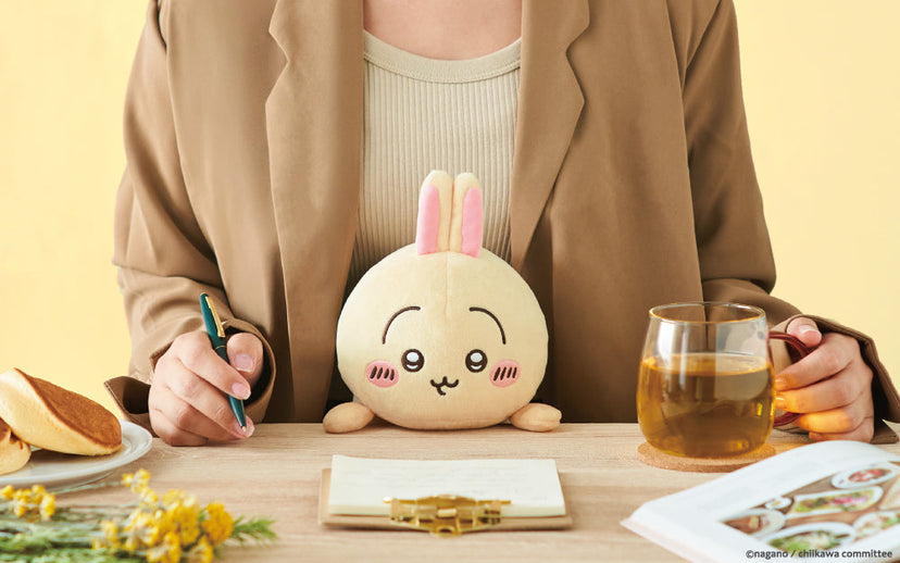 Posture Pal - CHiiKAWA - Shelf Ready