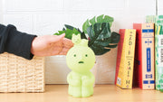 SMISKI Touch Light - Light Ready