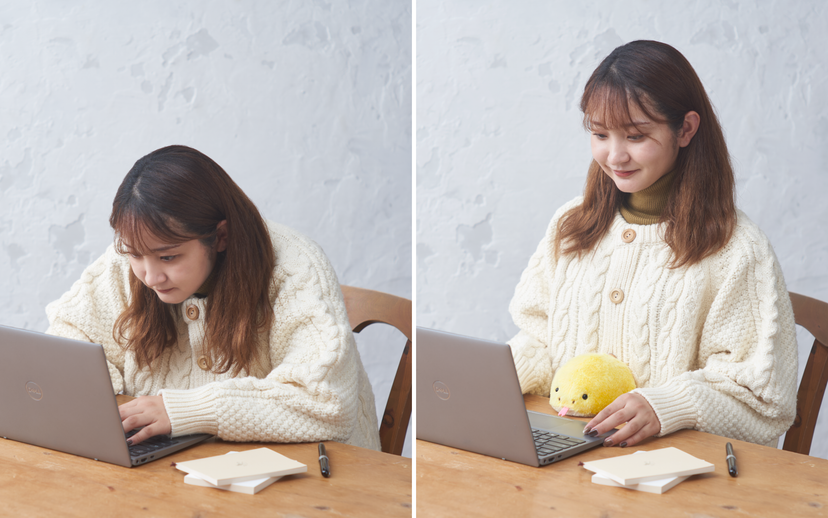 Posture Pal - Blind Box Pick