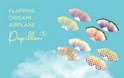 Papillon Origami Airplanes - Daily Choice
