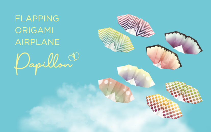 Papillon Origami Airplanes - Collector Choice