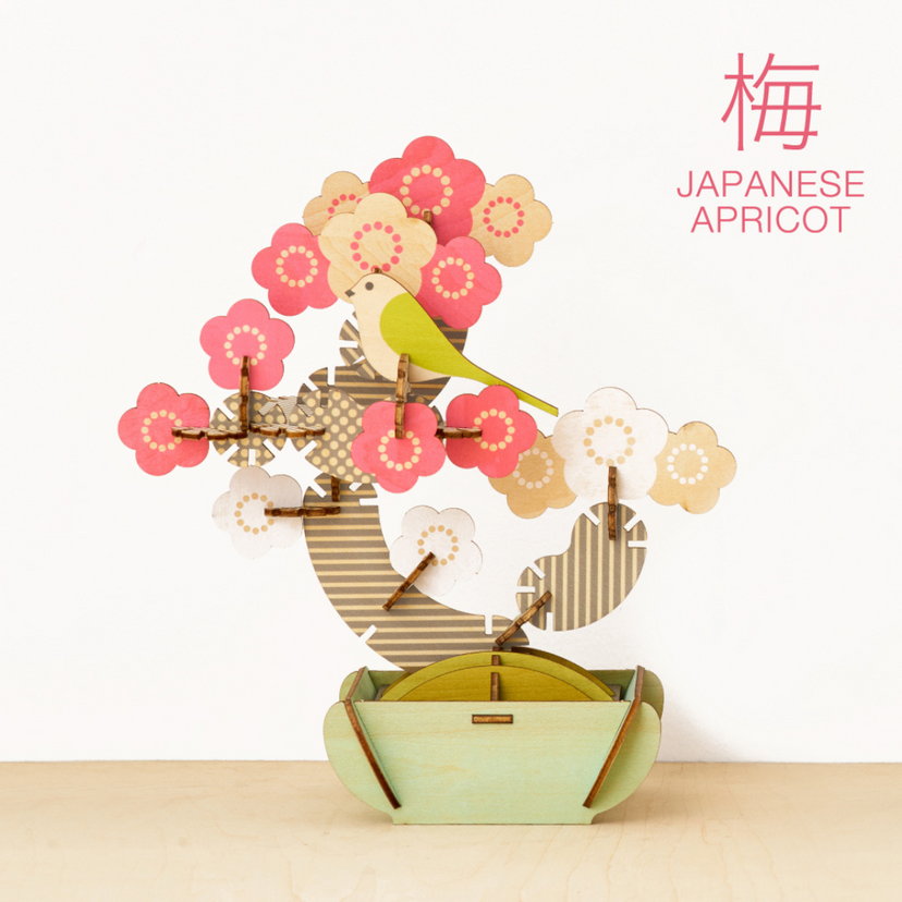 Play Plants Bonsai Puzzles - Gift Accent