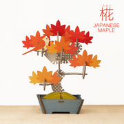 Play Plants Bonsai Puzzles - Desk Buddy