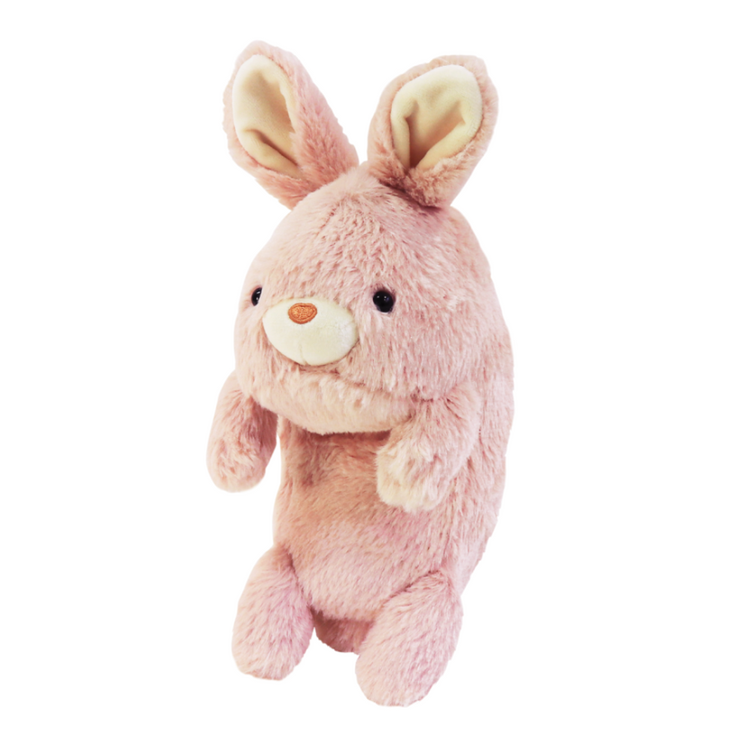 Posture Pal - Desk Buddy