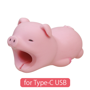 CABLE BITE for Type-C USB - Little Accent