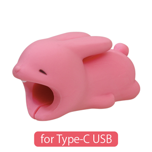 CABLE BITE for Type-C USB - Little Accent